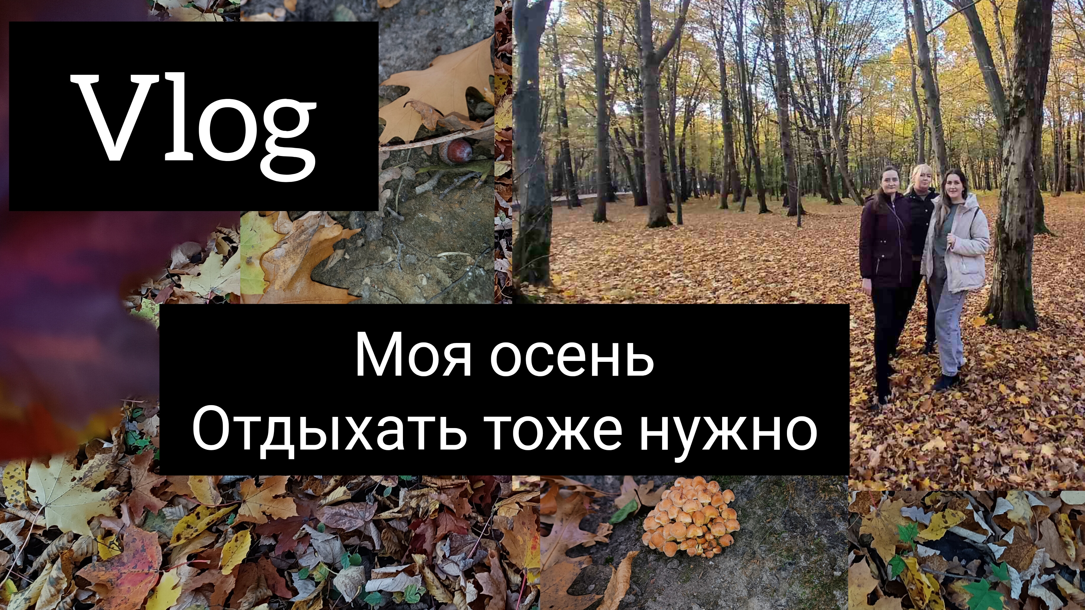 VLOG // моя осень🍁🍂🍃