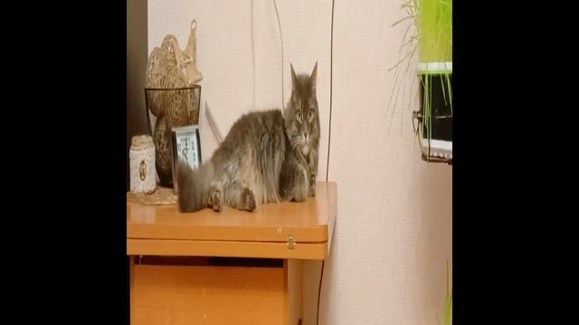 Филя отдыхает,мама смотрит фильм.