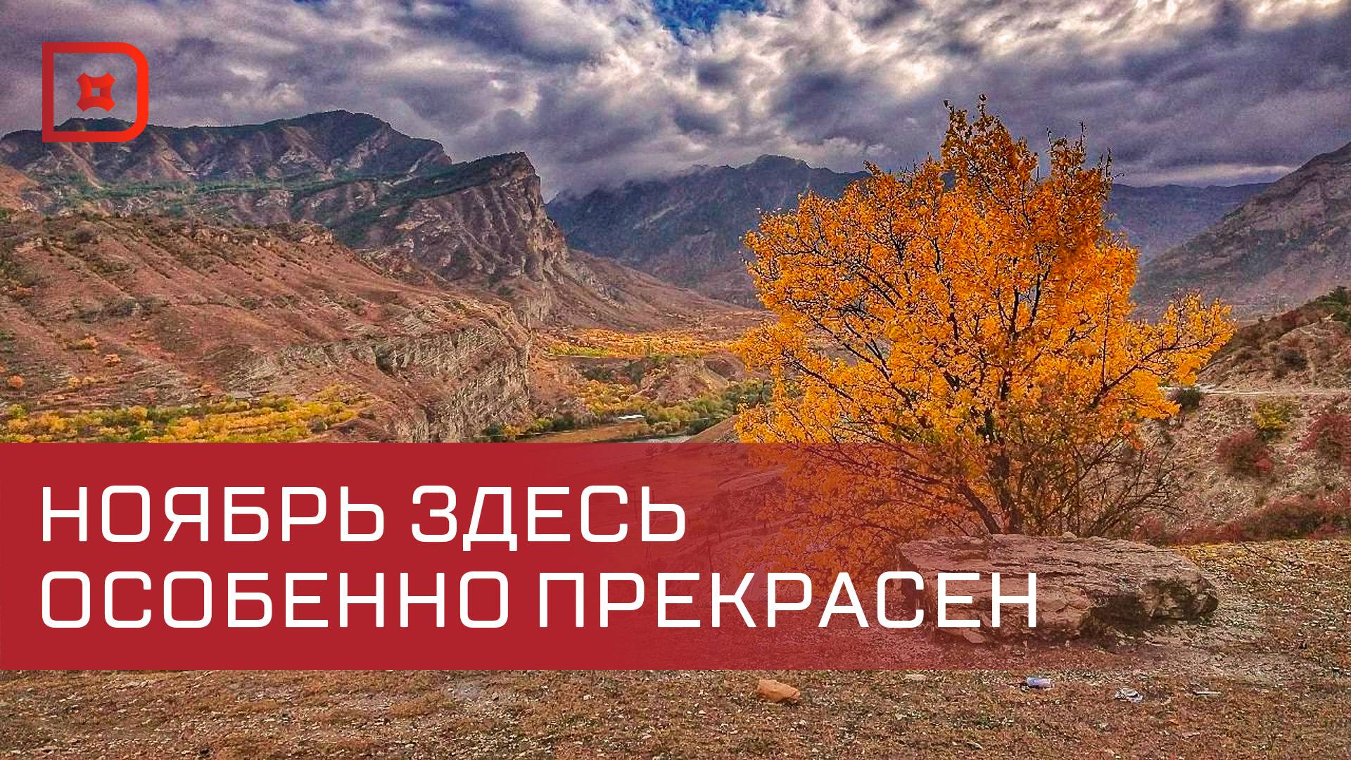 Дагестан стал самым популярным направлением для путешествий в ноябре у жителей Санкт-Петербурга