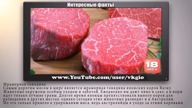 Самые дорогие блюда мира   Интересные факты