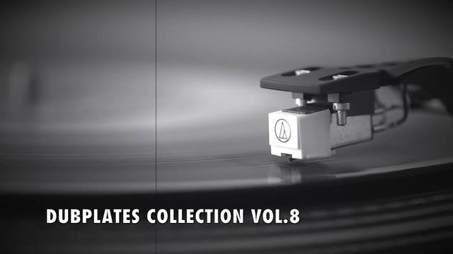 Perverse - Cross Examination VIP (Ft. Beezy) [DUBPLATE]