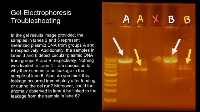 Gel Electrophoresis trouble shooting