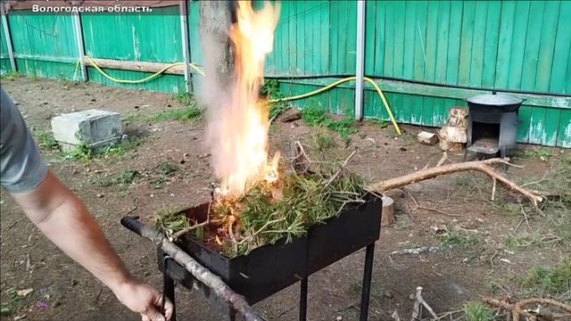 На базе отдыха "Солнечный бор" можно отлично отдохнуть/Рыбинское водохранилище