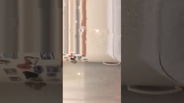 flora1488   Домашняя девочка на кухне