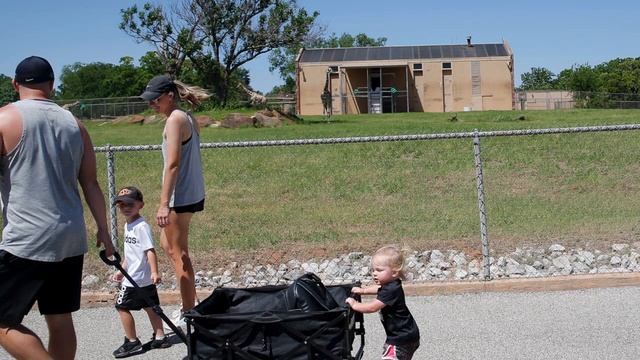 Zoo Opens Outdoor Safari Walk