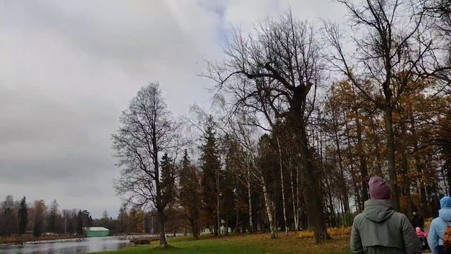 влог как я погуляла сегодня