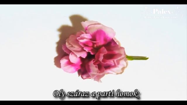 Nightwish - Deep Silent Complete - magyar fordítás / lyrics by palex