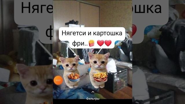 14:83 666 Г