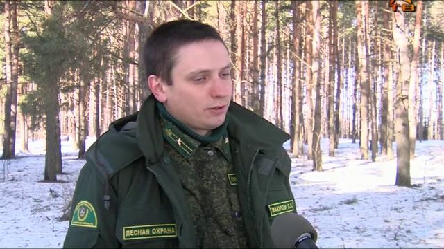 Школьное лесничество. Источник: «АО КОЛОМЕНСКОЕ ТВ (COLOMNA.RU)», 21.03.2022