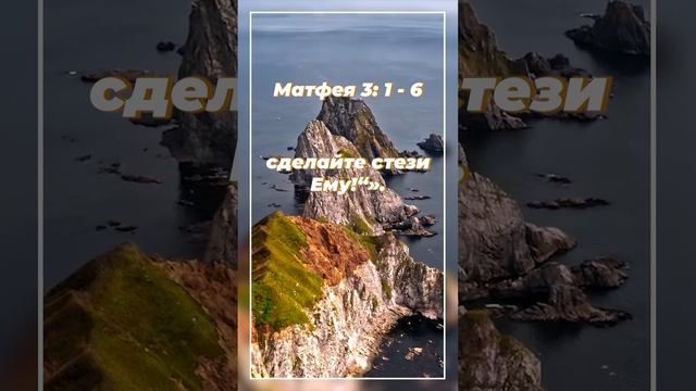 Матфея 3: 1 - 6 | ИПБ им. Кулакова  #sda_voskhozhdenie_shorts #книги #библия