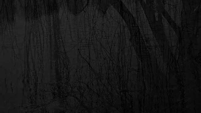 Katatonia   Day Unofficial video Photo by Luca Negro