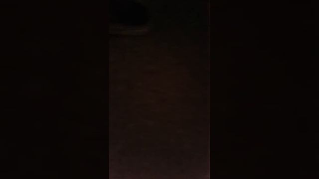 Рум тур !По кукольному дому