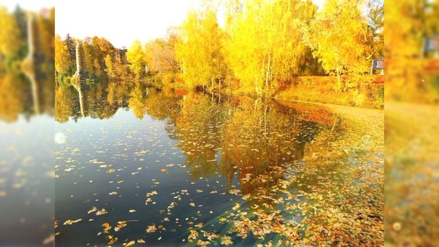 Золотая Осень.