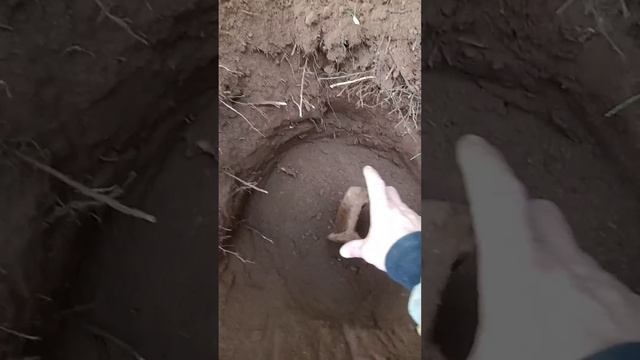 КОП МЕТАЛЛА...НАШЁЛ РЕЛЬС В ВЕРТИКАЛЬНОМ ПОЛОЖЕНИИ. КАК ВЫТАЩИТЬ НЕ ЗНАЮ #КопМеталлавлесу