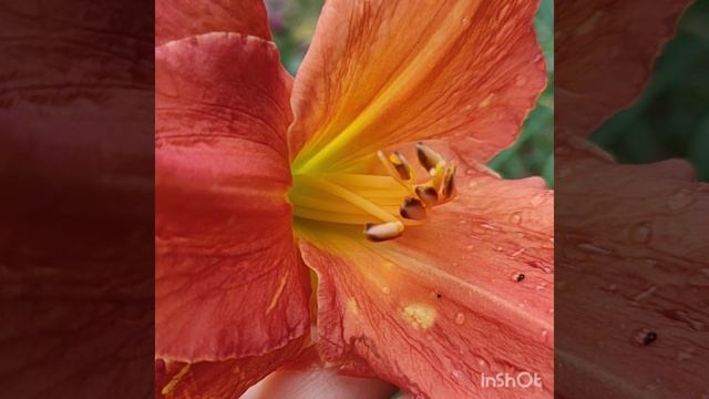 мой октябрь