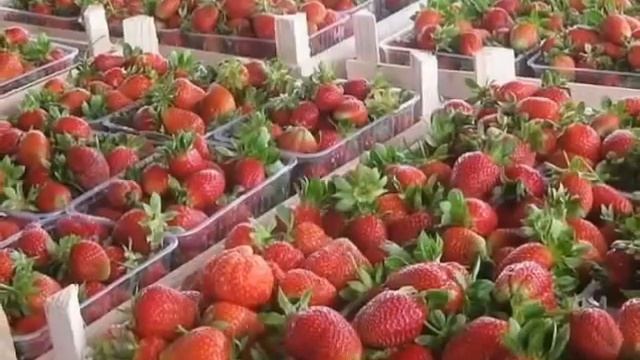 Ассаляму алейкум ва алейкум салям красивая песня поют ребенок и мужчина