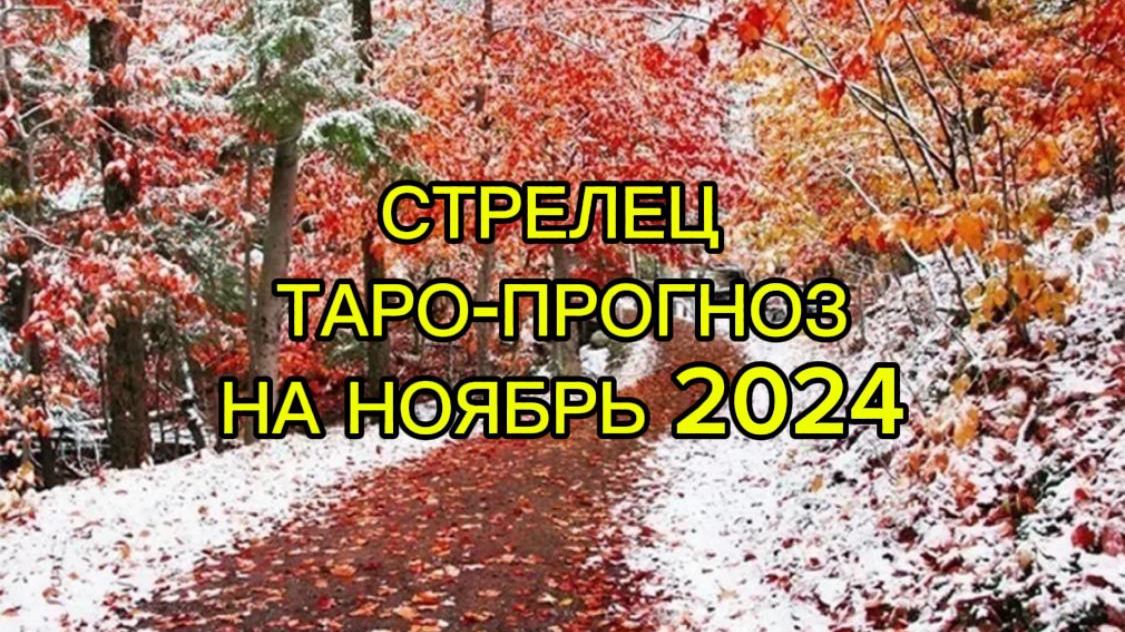 СТРЕЛЕЦ/ТАРО-ПРОГНОЗ/НОЯБРЬ2024