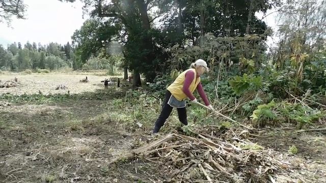 Новая жизнь усадебного парка в провинции