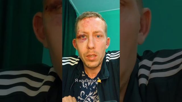 После общения со свиньями из тцк овца с ошейникрм решила идти на убой в нацгвардию Свинарнии