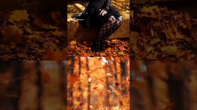 Под листопадом 🍂