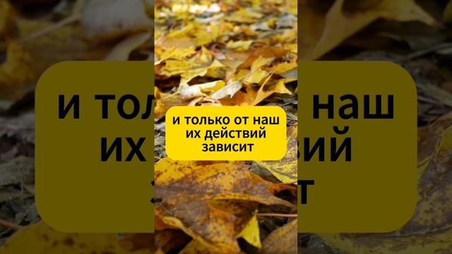 Судьба мотивирующиее видео