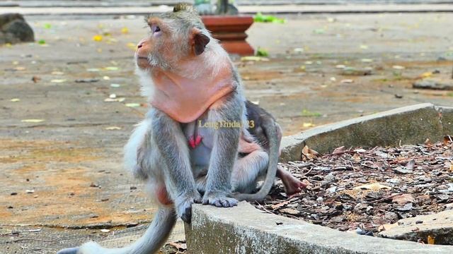 Be careful..! Baby Berron is very brave to play with her mom.