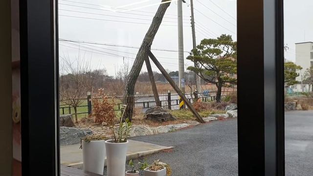 [ВЛОГ] НЕ ТИПИЧНОЕ КОРЕЙСКОЕ КАФЕ С ТИПИЧНЫМИ КОРЕЙСКИМИ БЛЮДАМИ