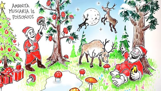 The Magic Mushroom Christmas Theory