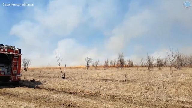 Возгорание сухой травы 29.04.2019