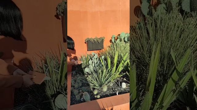 Как делать нельзя ) Видео-шутка)