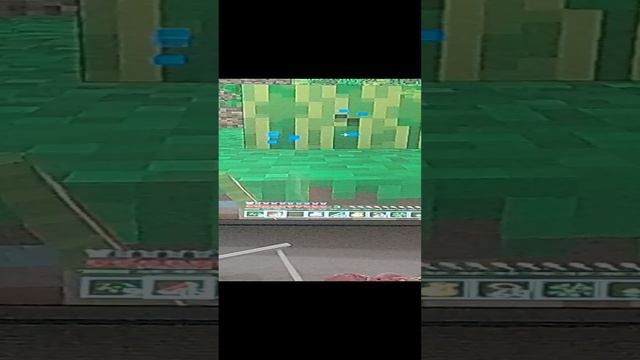 медвежонок и Барсик играют в майн
