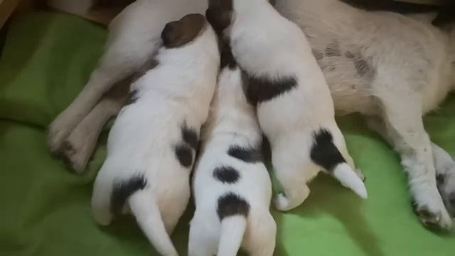 Молочная кухня😉