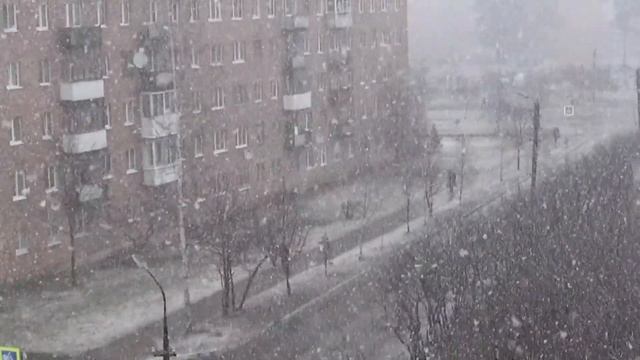 ВЕСНА 21.04.2017 - УТРО НА КУХНЕ, КОТЫ ЖДУТ ПАЙКУ / MORNING, KITCHEN, CATS, FOOD😀