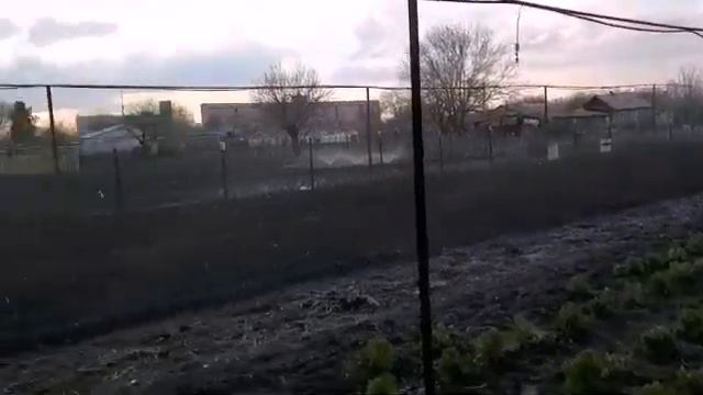 Капельный полив! Полив дождеванием!