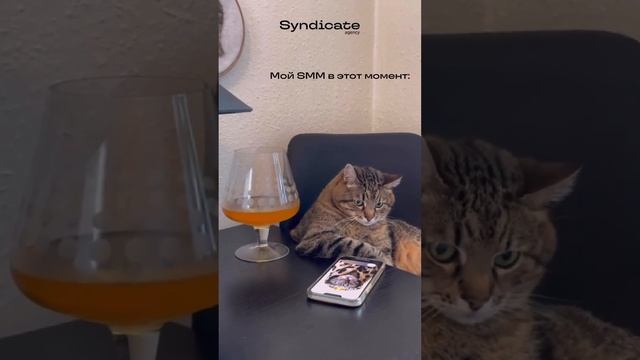 Признавайтесь, вы и есть тот самый SMM?