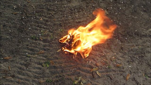 Thank you to all the brave men and women who have made the ultimate sacrifice...