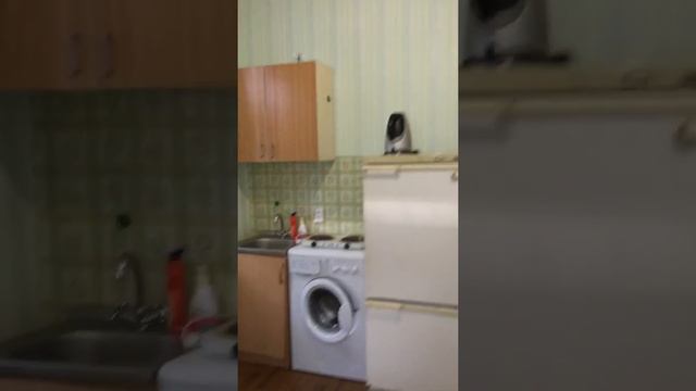 Студия Хлыновская 4а