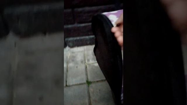 Котята первый раз на кухне... Ловлю Тигрицу...