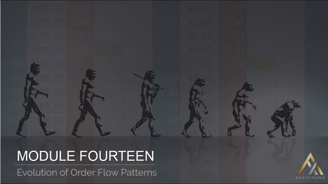 141. Module 14 –1 Evolution of Order Flow and Price Patterns