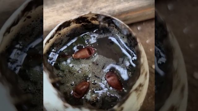 Apple + Egg - Growing apple trees from apple seeds with eggs / easy and fast