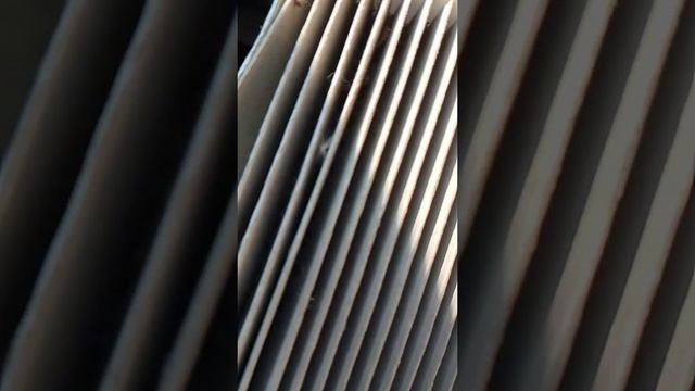 как поменять салонный фильтр в автомобиле тайота рактис