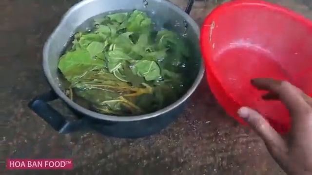 Пищевая искусство пищевые приключения Традиционная пища натуральные пищевые продукты удивительные б