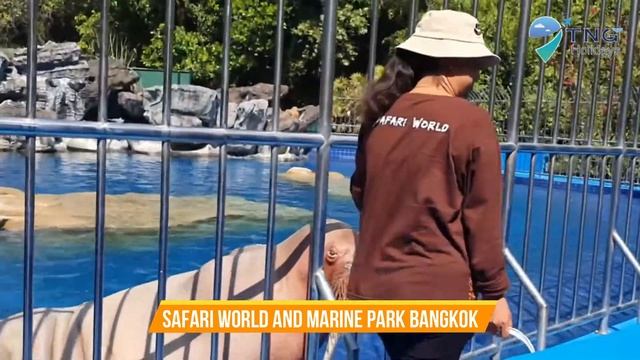 safari world and marine park bangkok things to do - safari world and marine park bangkok