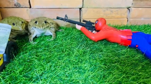 Brave frog vs super man and bat man 👨 funny frog 🐸