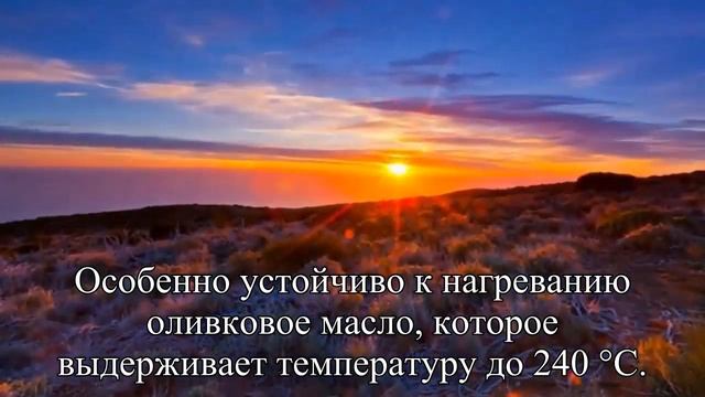 Привычные приборы на кухне могут быть опасны  — Статья