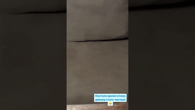 Химчистка дивана Новосибирск. Клининговая компания ЧИСТО ДОМА +79137300404