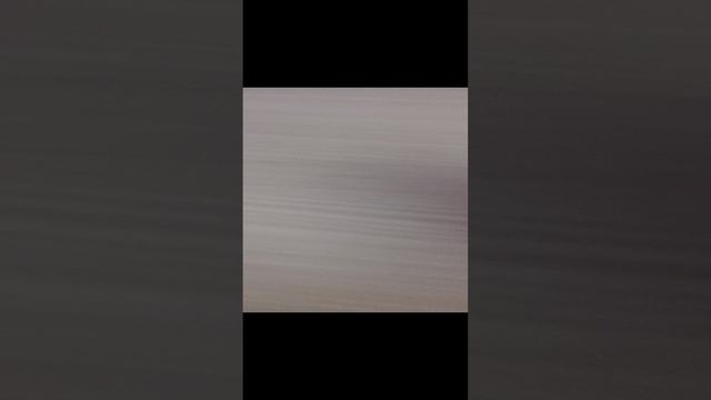 челюсти не знают что это такое за лапка большая