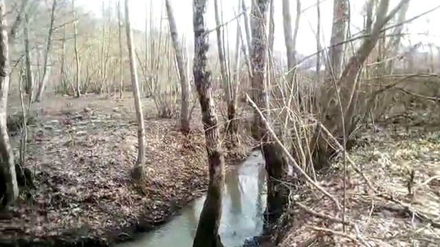 ВЕСНА В Краснодарском крае наступает в начале февраля)
