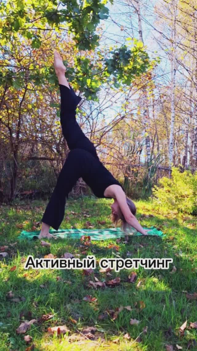 Активный стретчинг