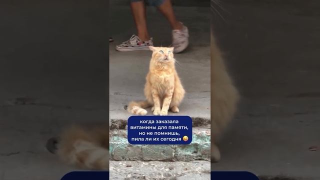 1000263803.mp4